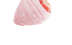 straberry1
